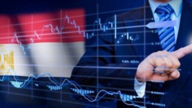 مجالات الاستثمار في مصر